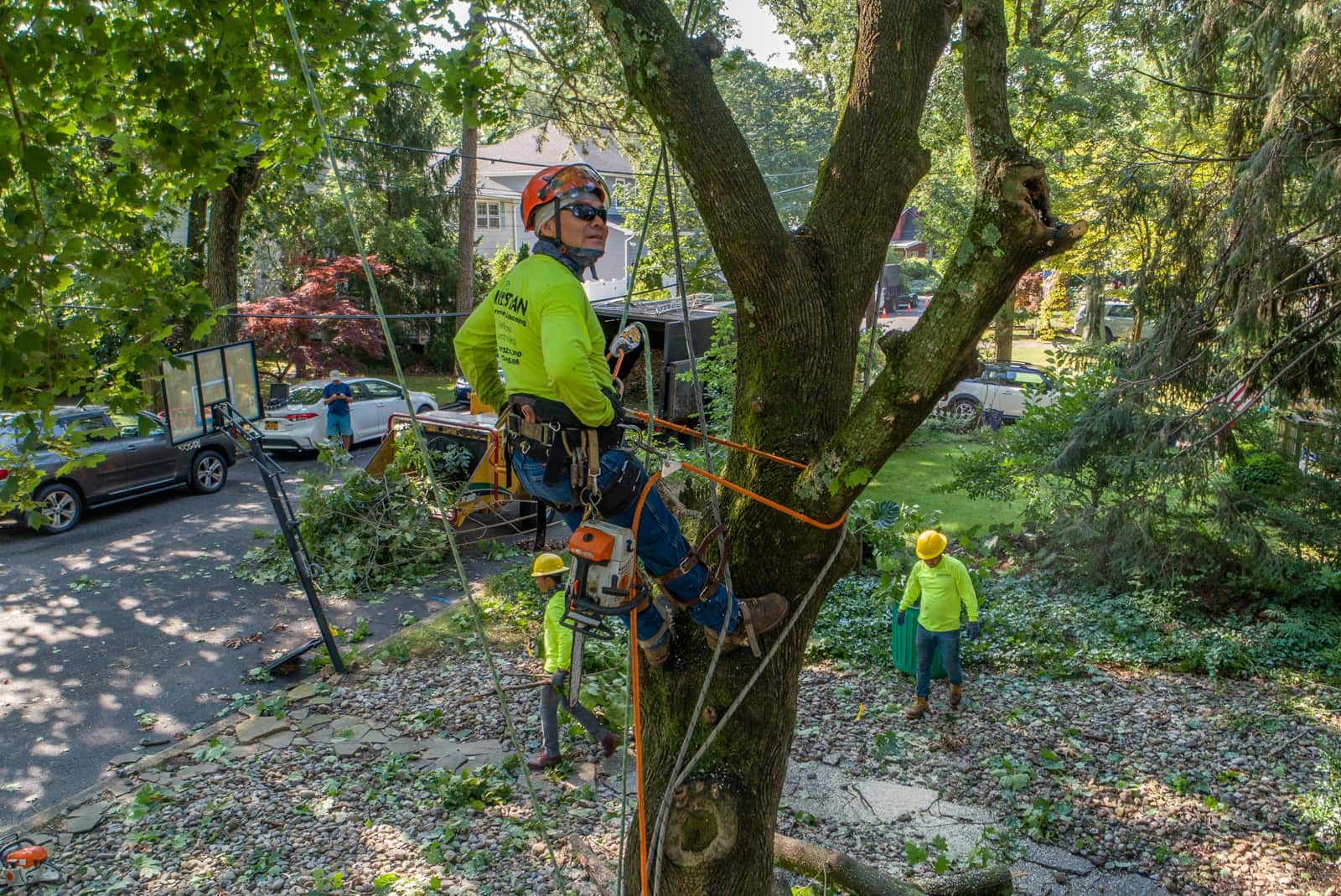 Completed tree service projects by Kristian Tree Service in Charlotte, NC