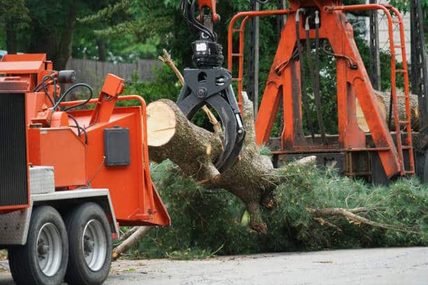 Land Clearing